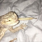 saintz profile picture leakfans.com