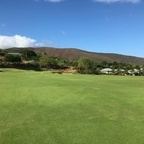 saizo profile picture leakfans.com