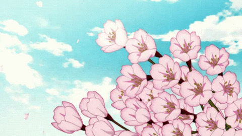 Header of sakura022