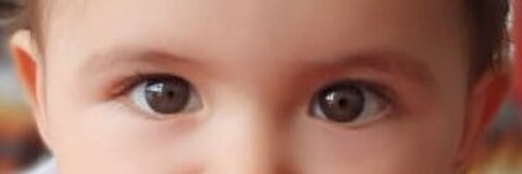 saldes header picture leakfans.com