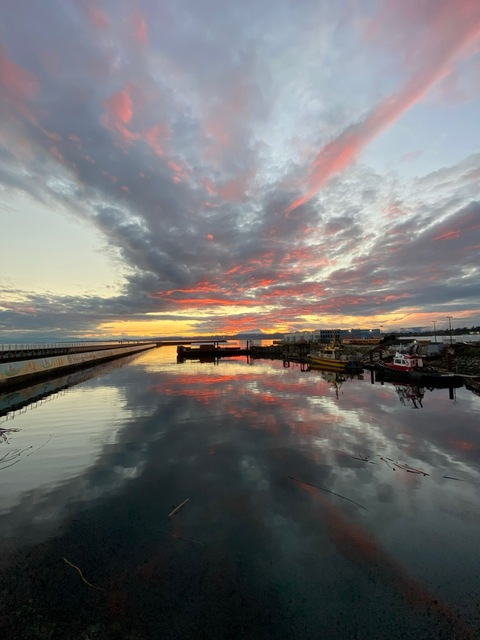 sallytokes header picture leakfans.com