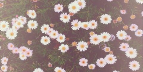 salmaamii header picture leakfans.com