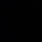 saltyalty profile picture leakfans.com