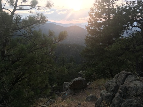 sammalamma header picture leakfans.com