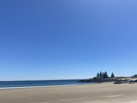 sammyanne28 header picture leakfans.com