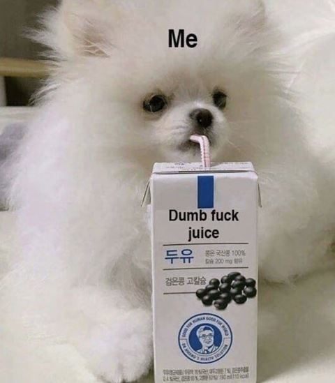 samsara header picture leakfans.com