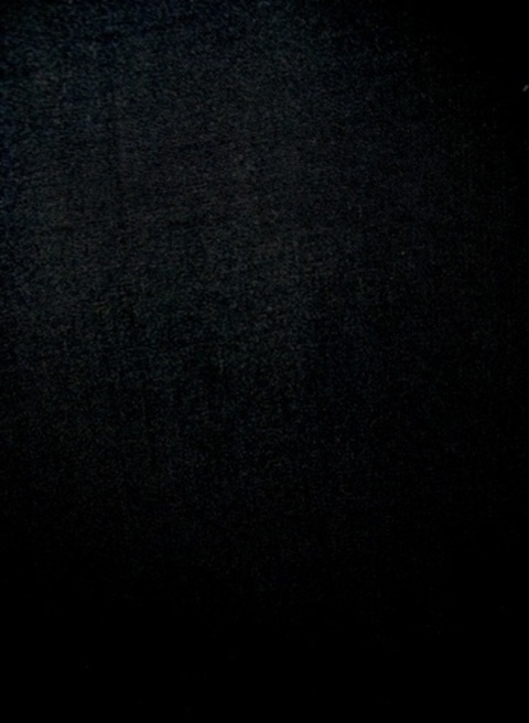 sandradeline header picture leakfans.com