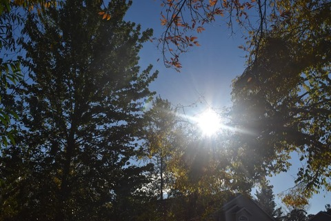 sapphicady header picture leakfans.com