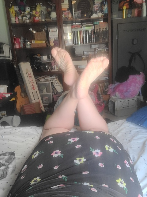 sar-cat header picture leakfans.com