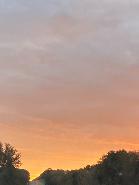 sarah.x.yvonne header picture leakfans.com