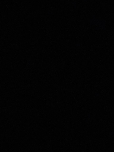 sarahbear903 header picture leakfans.com