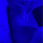 sarahmiller8 profile picture leakfans.com