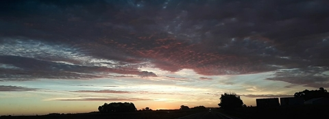 sarahrenee1221 header picture leakfans.com