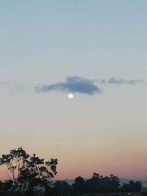 saralia header picture leakfans.com