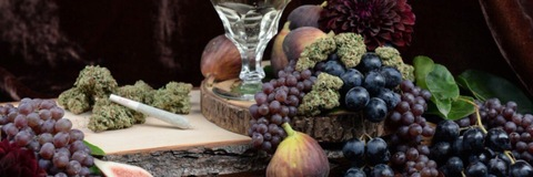 sashashla header picture leakfans.com