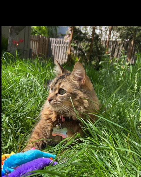 sassycontent header picture leakfans.com