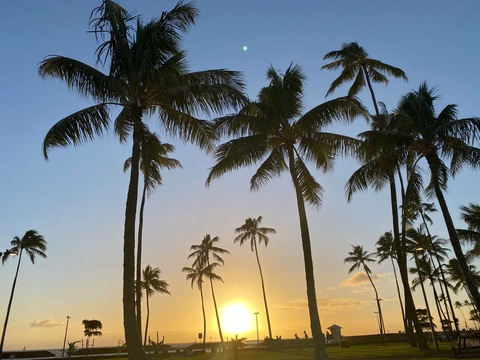 sassypantsmag header picture leakfans.com