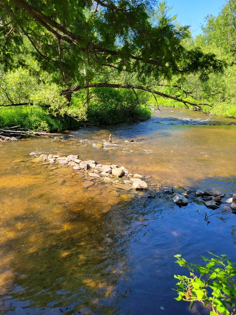 sativahsua header picture leakfans.com