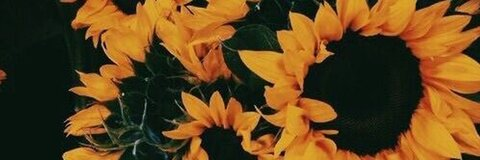 sav_b216 header picture leakfans.com