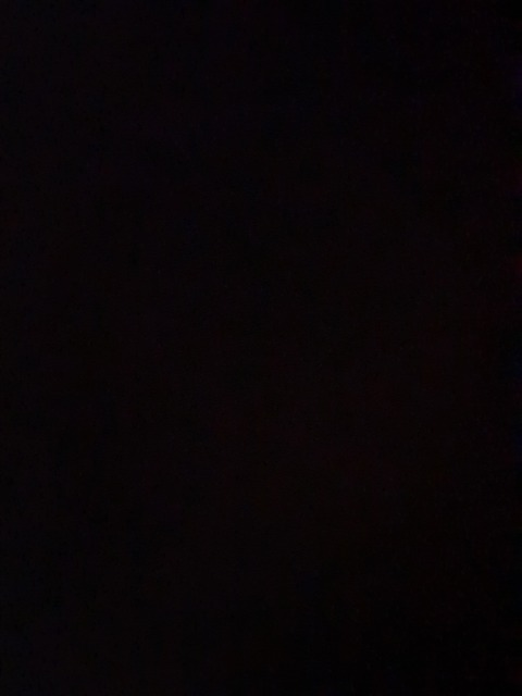 savanna_woods22 header picture leakfans.com