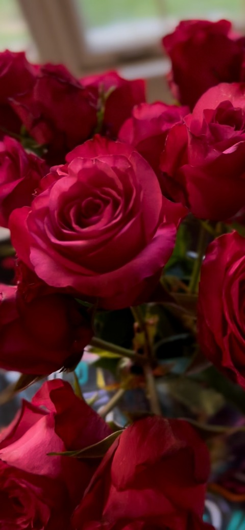 savannahbb header picture leakfans.com