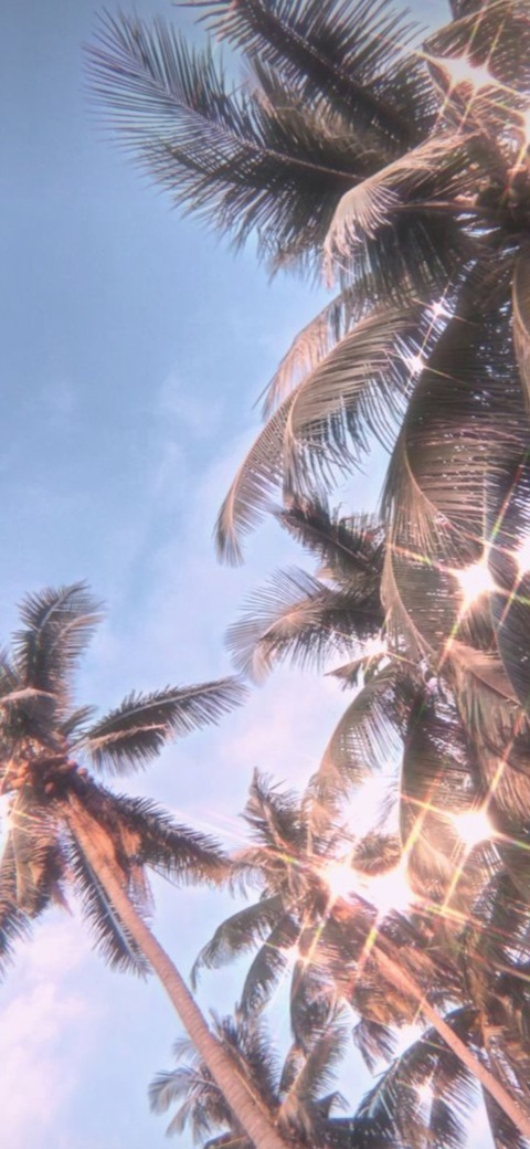 savannahm00 header picture leakfans.com