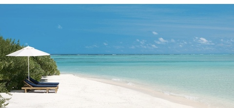 savannahstern header picture leakfans.com