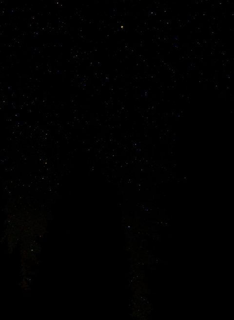 scar.lettt header picture leakfans.com