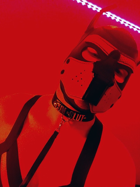 scarlet_pup header picture leakfans.com