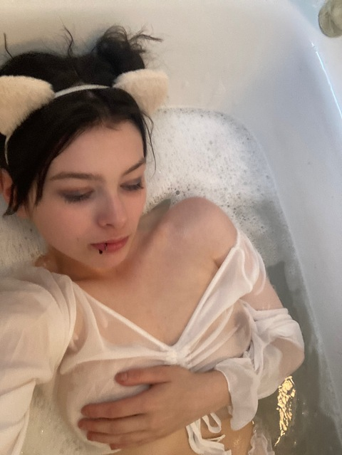 scarletrose212 header picture leakfans.com