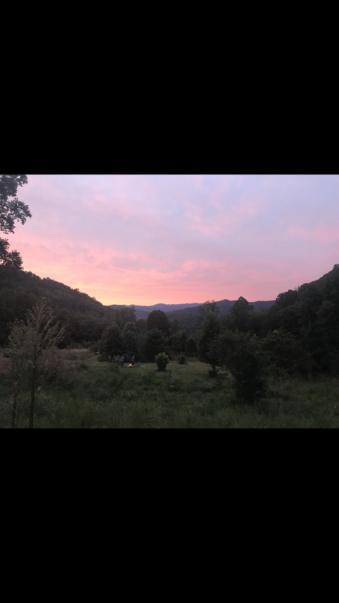 scarletta header picture leakfans.com