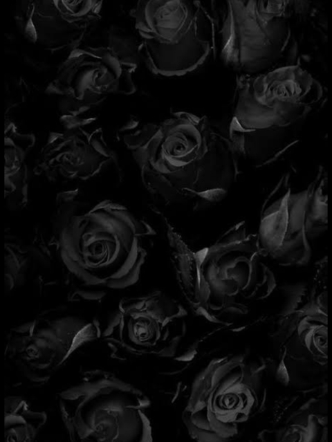 scarlettfever92 header picture leakfans.com