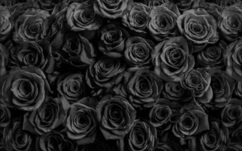 scarlittoo header picture leakfans.com