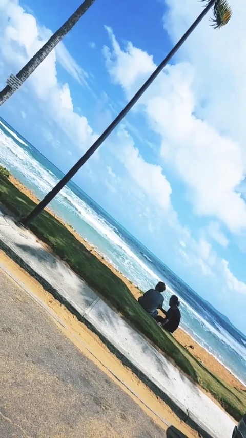 scarsofnature header picture leakfans.com