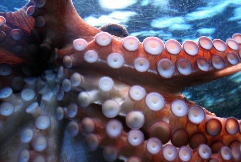 schiggy_13 header picture leakfans.com