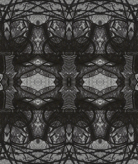 schlina header picture leakfans.com