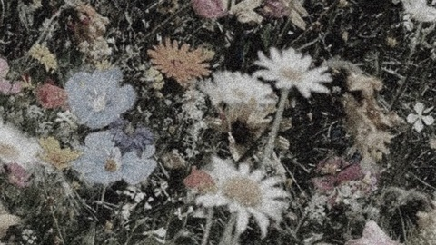 scrimmyboo header picture leakfans.com