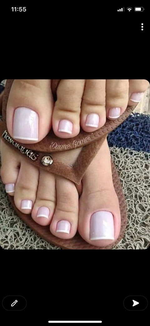 scuale22 header picture leakfans.com