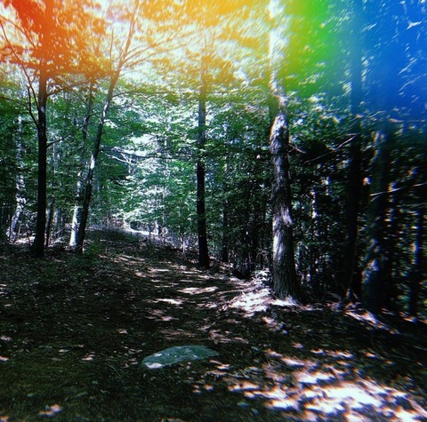 seaseama header picture leakfans.com