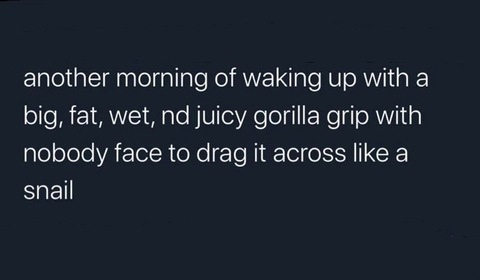 secretlifeofari header picture leakfans.com