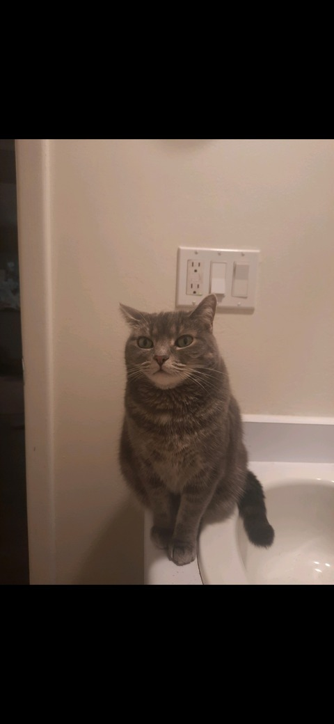 selena.kyle.xxx header picture leakfans.com