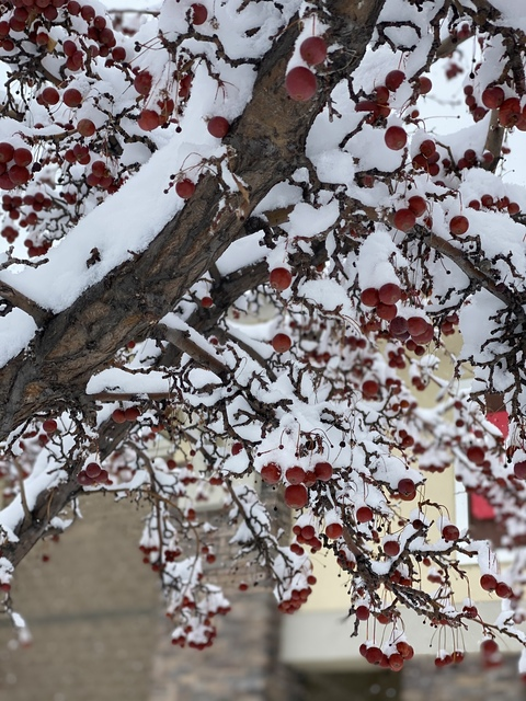 sephorasummer header picture leakfans.com