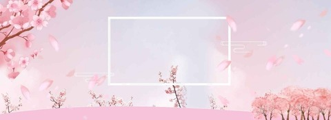 Header of seraphinachan