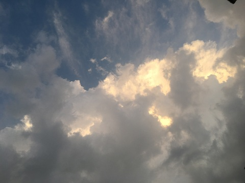 seraphpuppy header picture leakfans.com