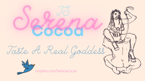 Header of serenacocoa