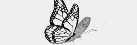 serenna_ header picture leakfans.com