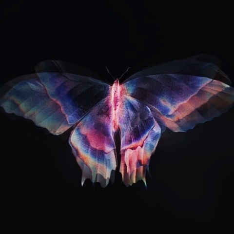 sexterrestrial header picture leakfans.com