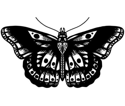 sexyfairyy header picture leakfans.com