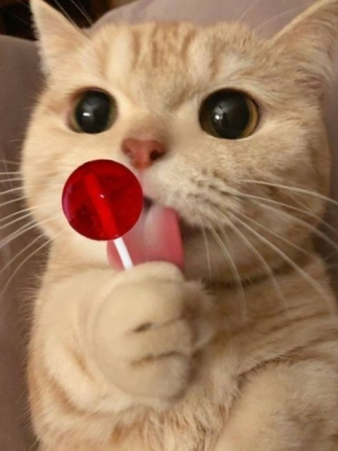 sexygirl4200 header picture leakfans.com