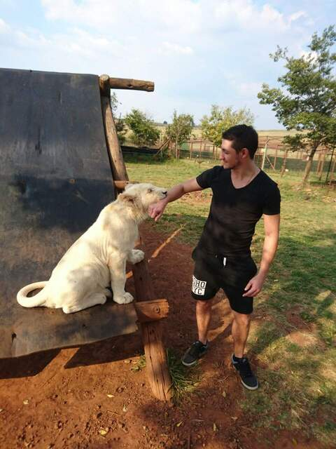 sexymigz header picture leakfans.com